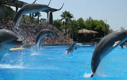 Mundomar Benidorm: ingresso sem filas
