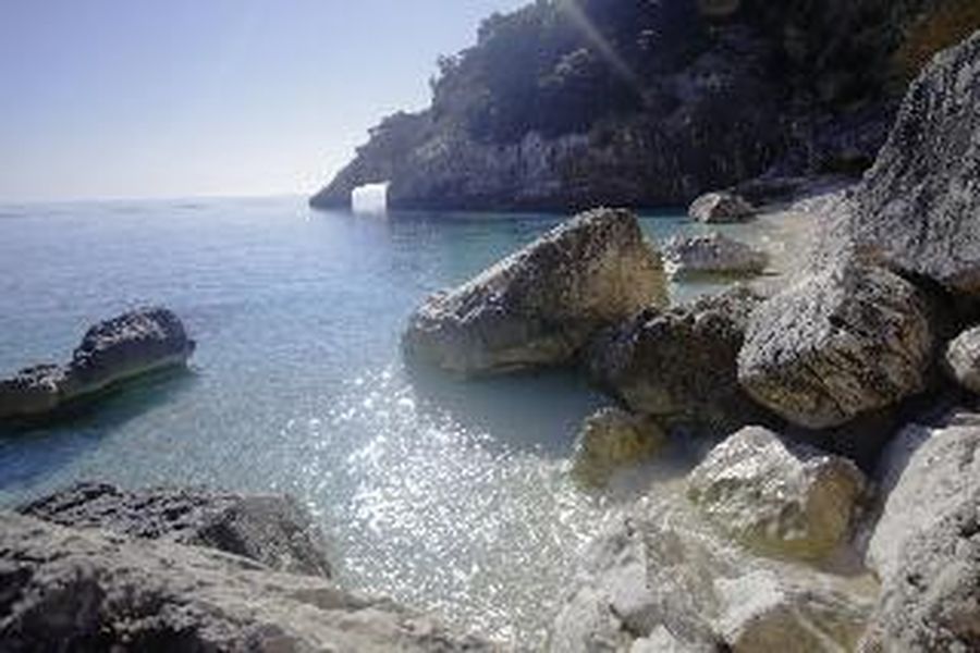 photo-0