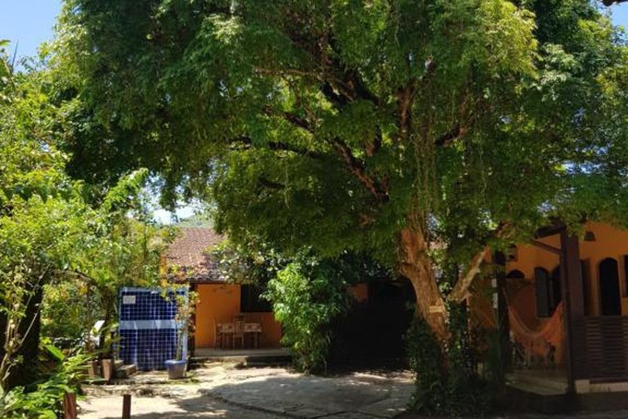foto-3