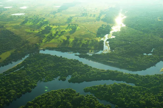 Vista Aérea de Zonas úmidas do Pantanal