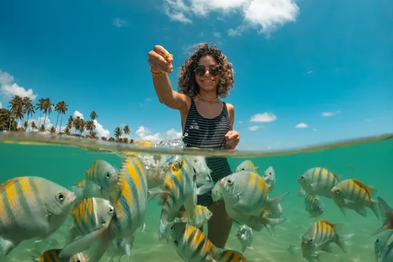 Alimentando os peixes