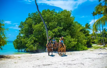 Punta Cana Horse Riding Tour