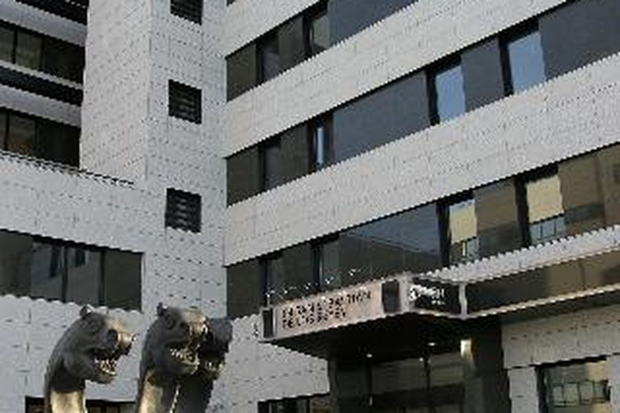 photo-3