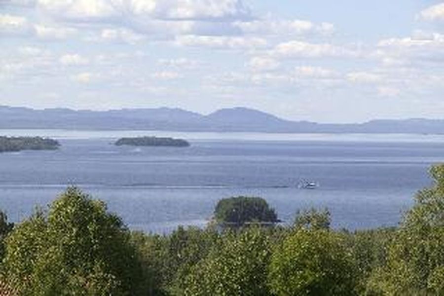 photo-3