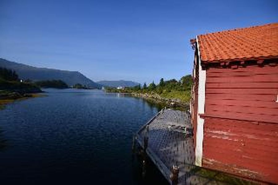 photo-3