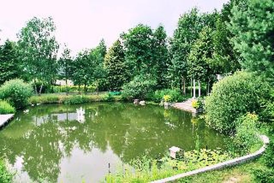 foto-3