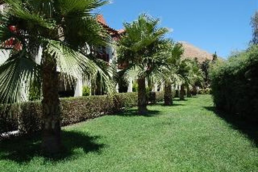 foto-2