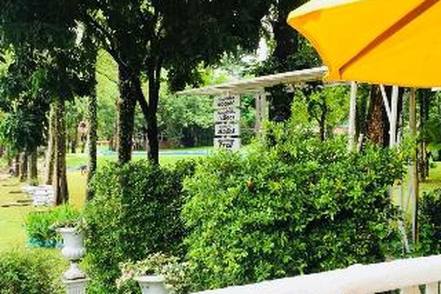 photo-1