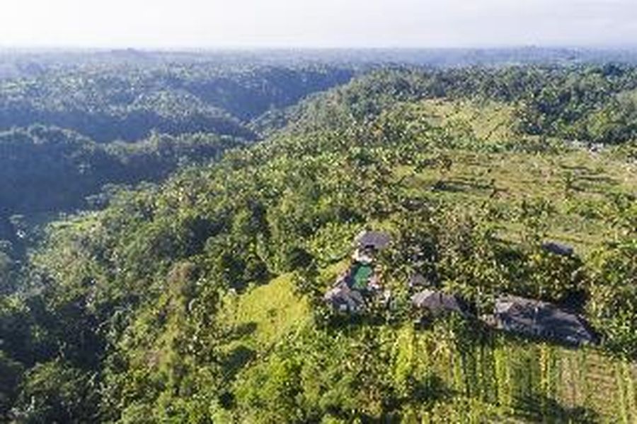 foto-1