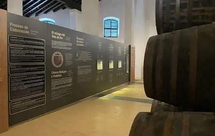 Visita a bodegas de Jerez con cata de vinos