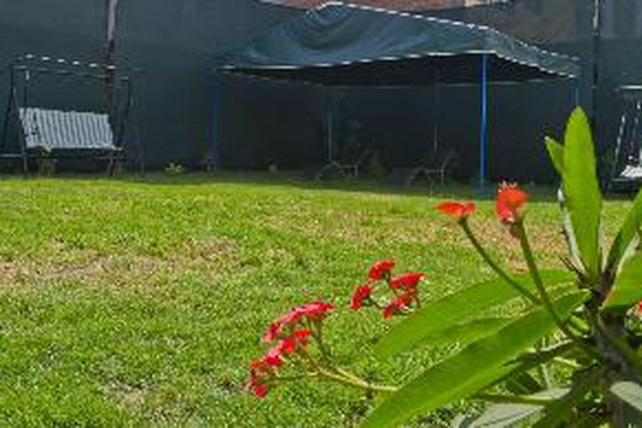 foto-2