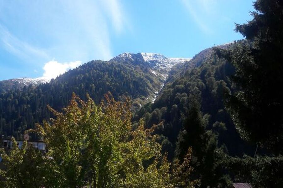 foto-3