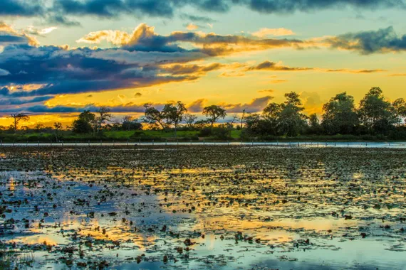 Pantanal, Mato Grosso