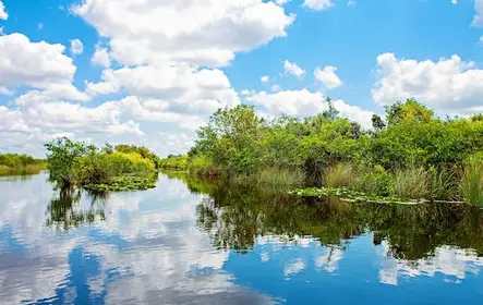 Tour a los Everglades desde Miami