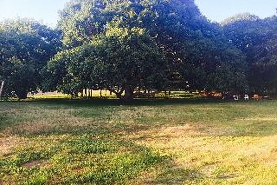 foto-3