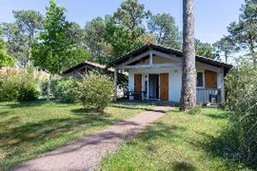 photo-3