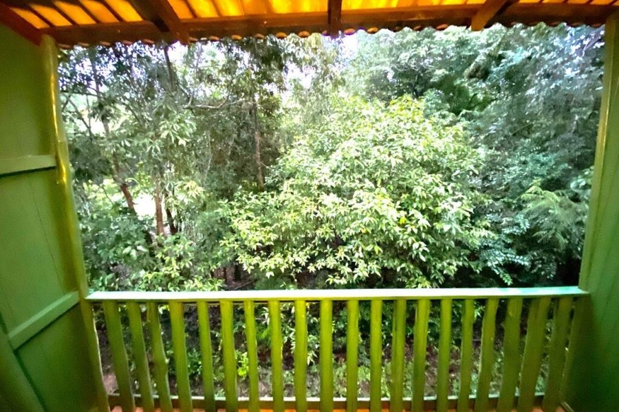 foto-2