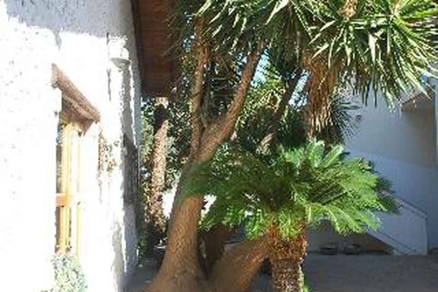 foto-1
