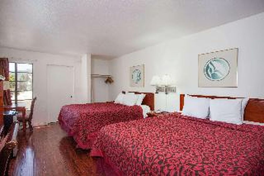 foto-2
