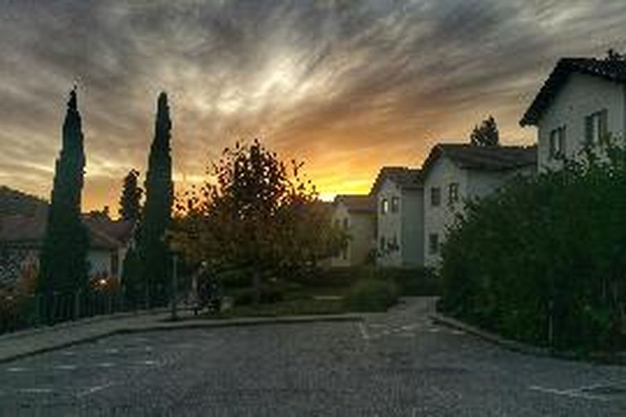 photo-1