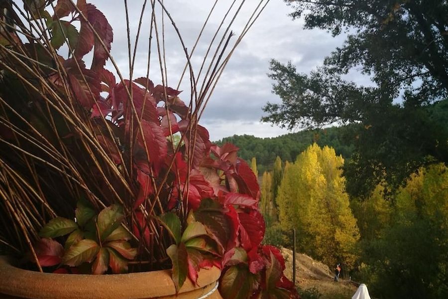 foto-2