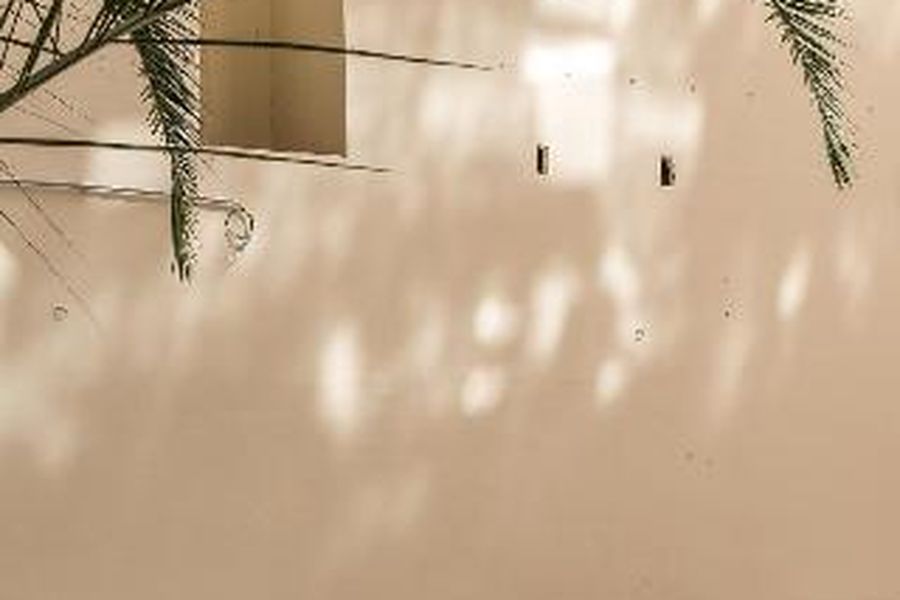 photo-2