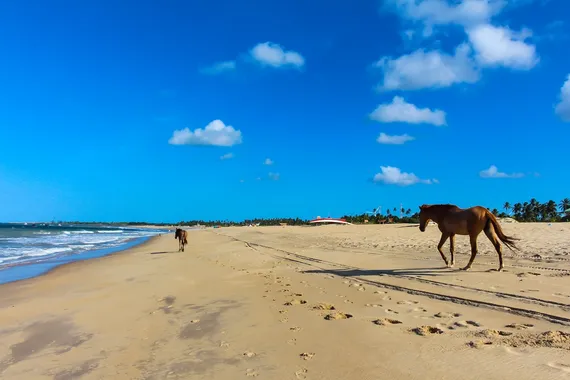 São Miguel do Gostoso