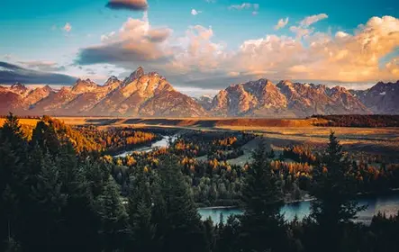 Safari al amanecer en verano y otoño desde Jackson Hole