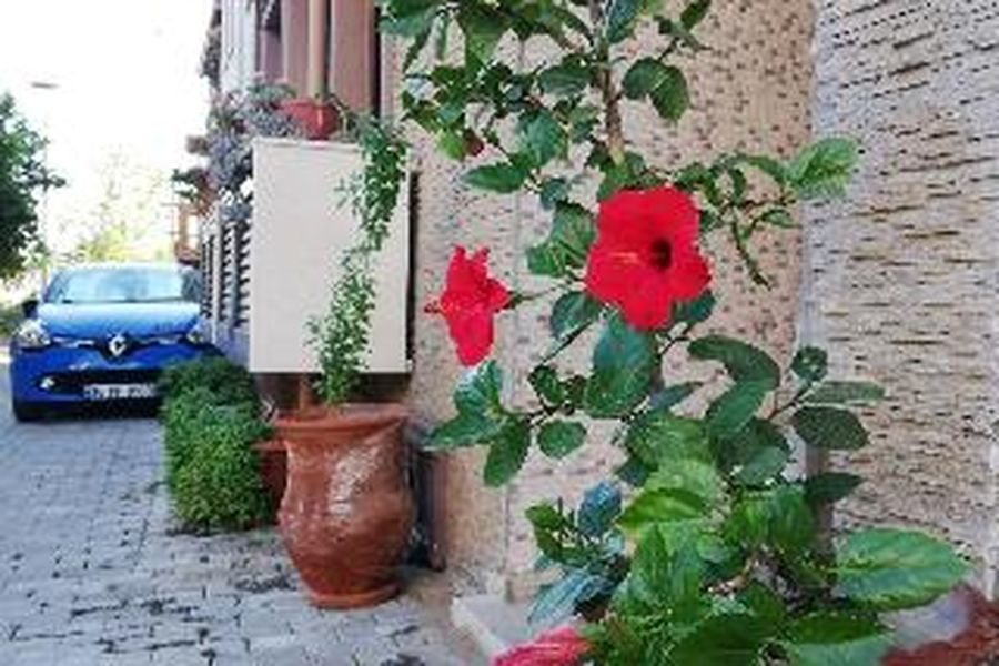 foto-3