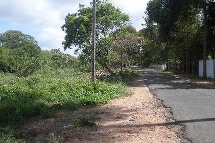 foto-2