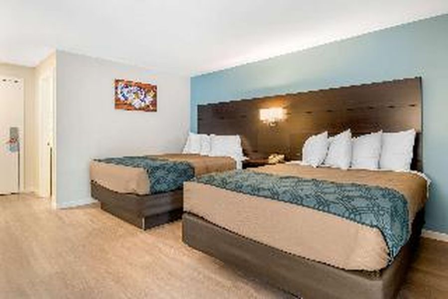 photo-1