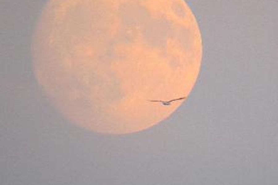 photo-2