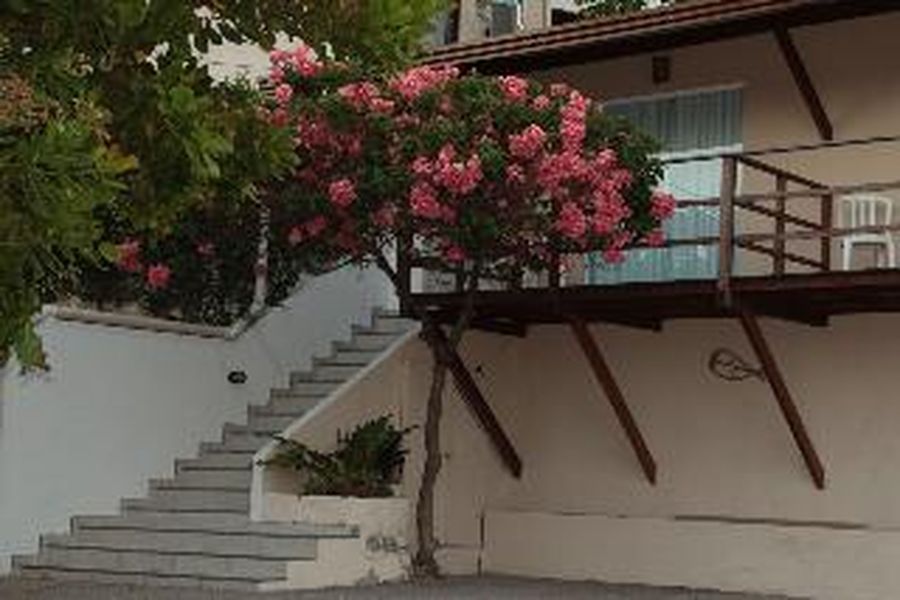 foto-2