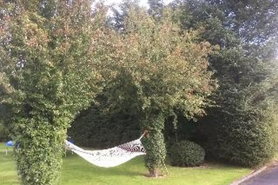 foto-2