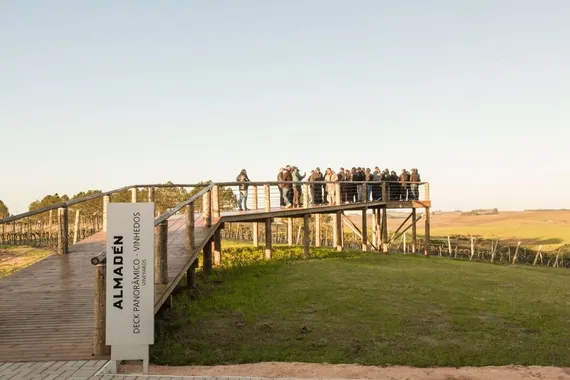 Mirante para os vinhedos
