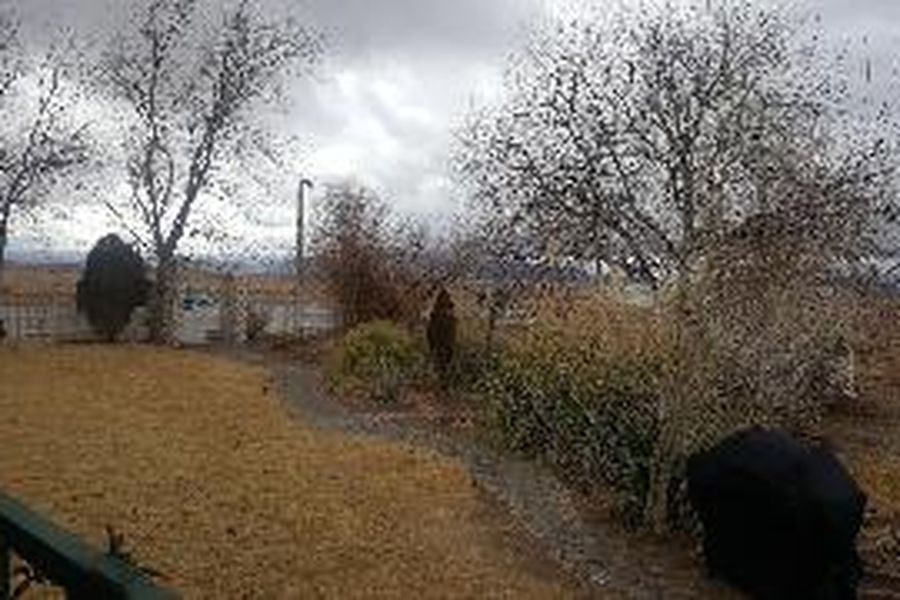 photo-1