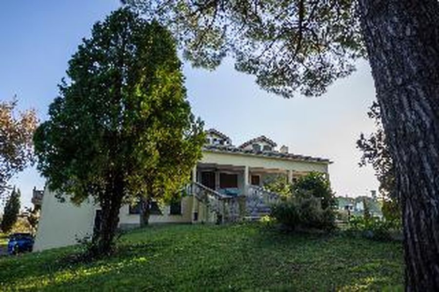 foto-3