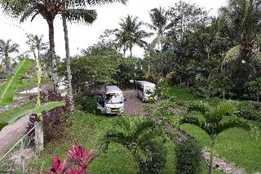 photo-1