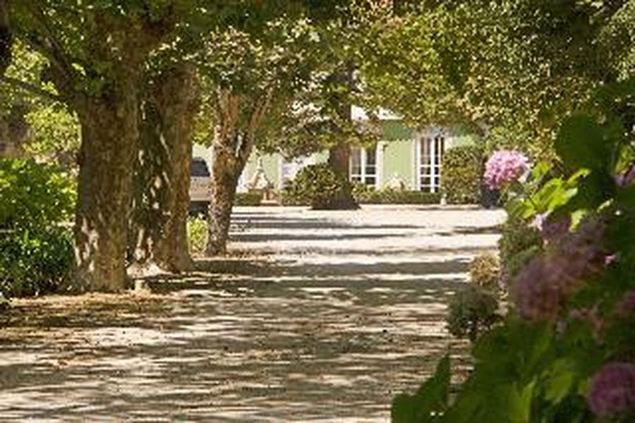 photo-2