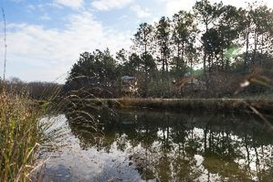 foto-0