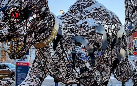 Reykjavik: passeio de passarela