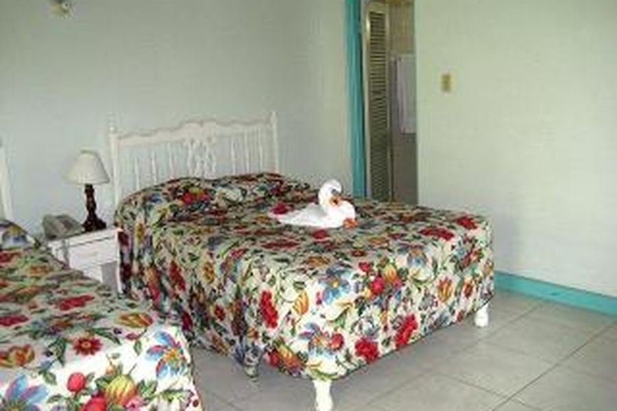 foto-1