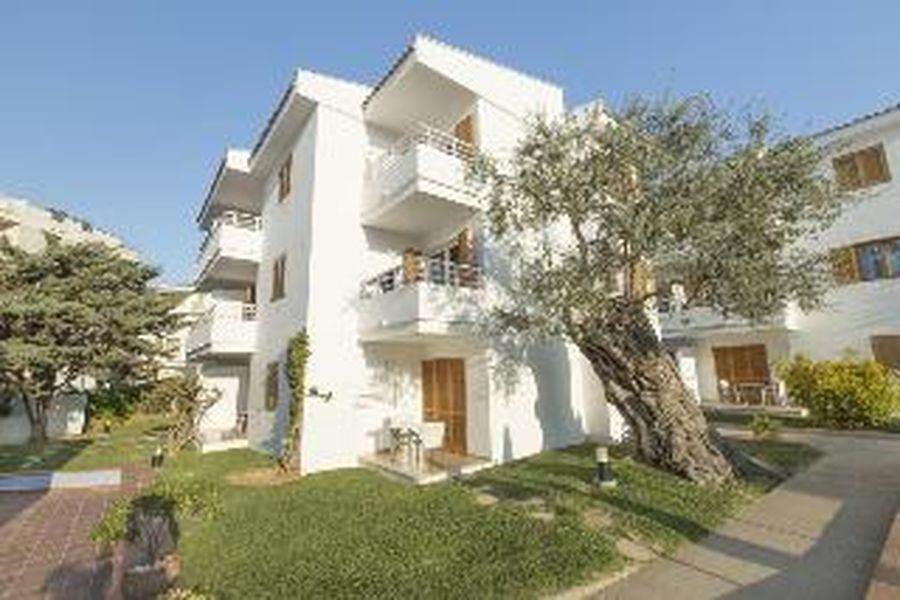 foto-3