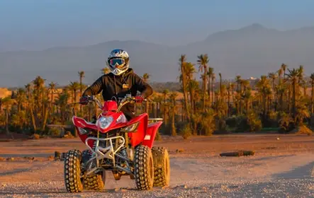 Marrakech: Passeio de quadriciclo de 2 horas + transporte de ida e volta