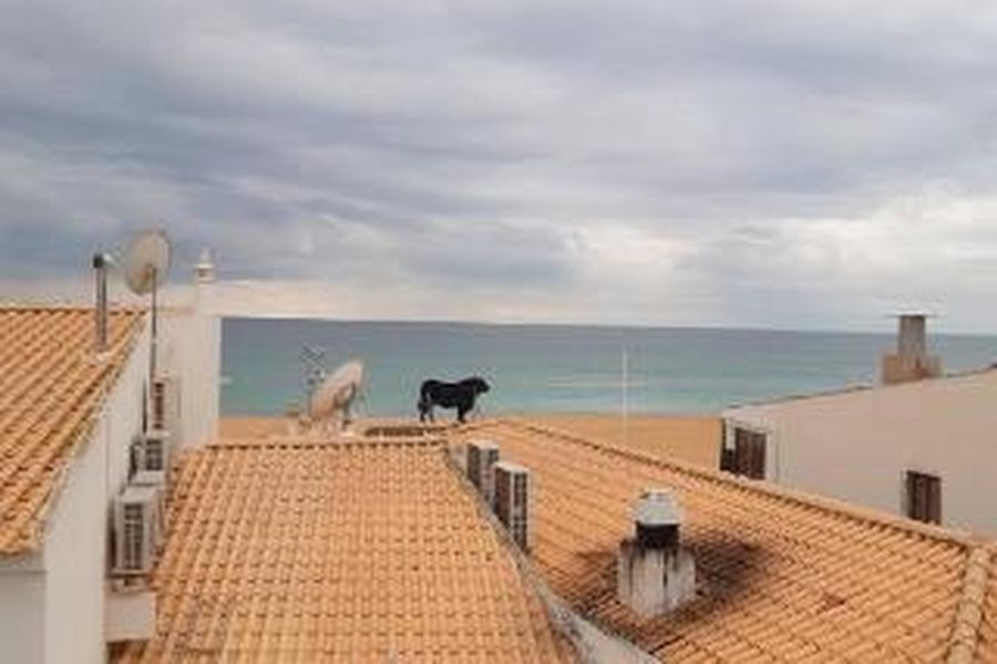 foto-1