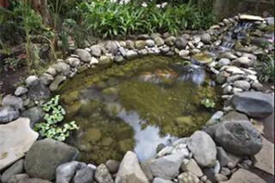 photo-2
