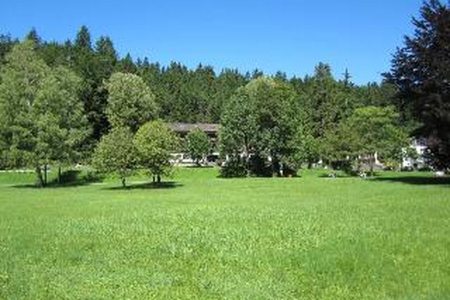 photo-2