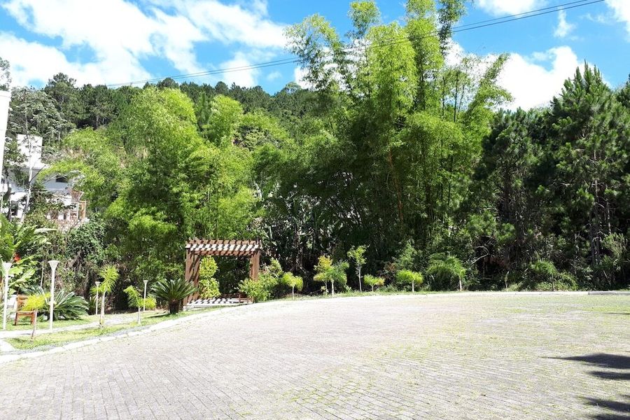 photo-3