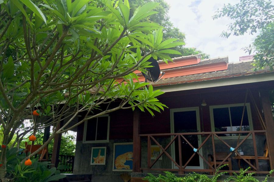 foto-0