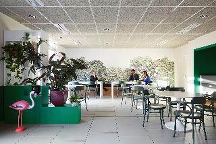 foto-3